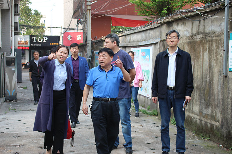 区委区政府第一督查小组现场督查我公司代建项目