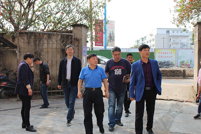 区委区政府第一督查小组现场督查我公司代建项目