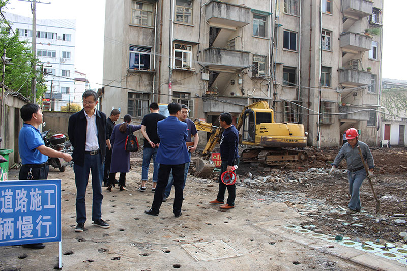 区委区政府第一督查小组现场督查我公司代建项目