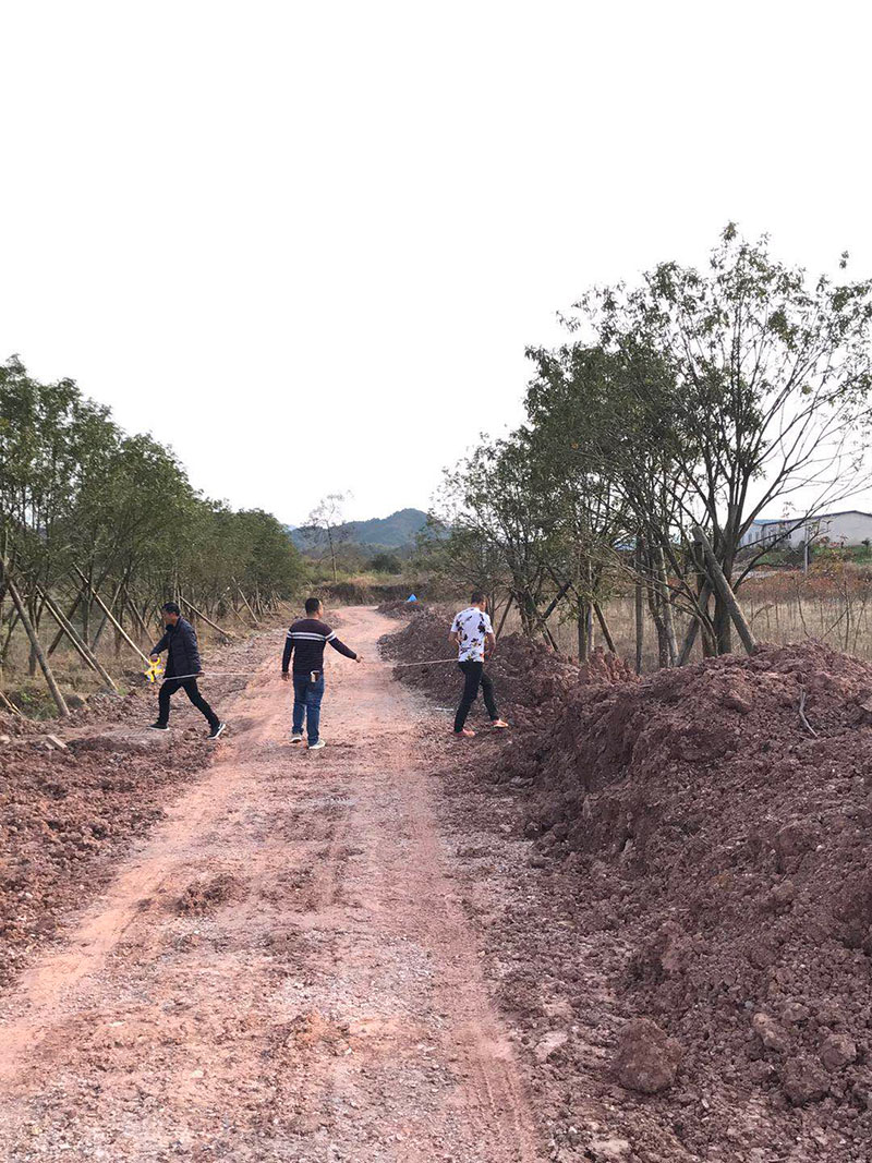 世行贷款屯溪区结余资金项目