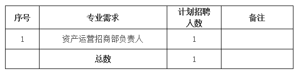 黄山市屯溪城市建设投资有限责任公司 招聘信息