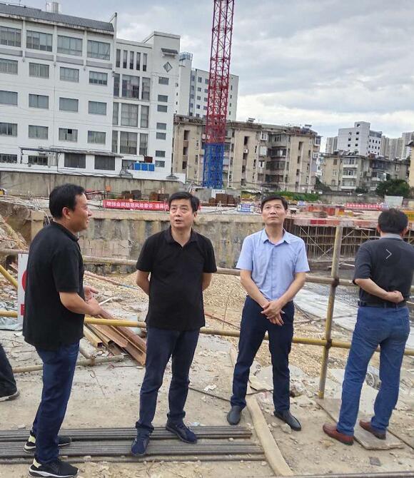 区委副书记、区长杨林调研重点项目