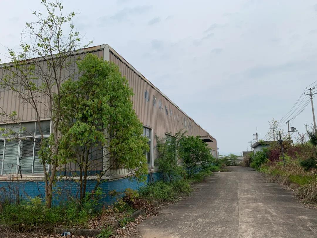 屯溪区国有资产投资运营有限公司委托设备设施及配套厂房和配电房拆除权拍卖公告