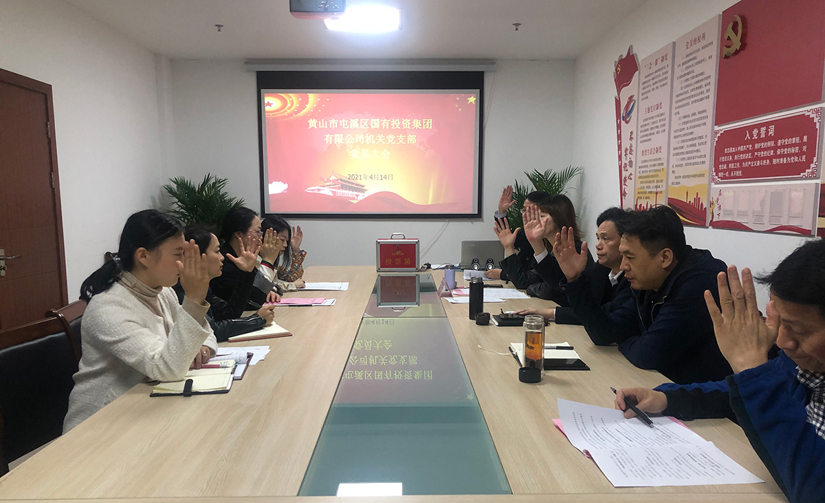 屯溪区国投集团机关党支部成立暨第一届支部委员会选举大会胜利召开