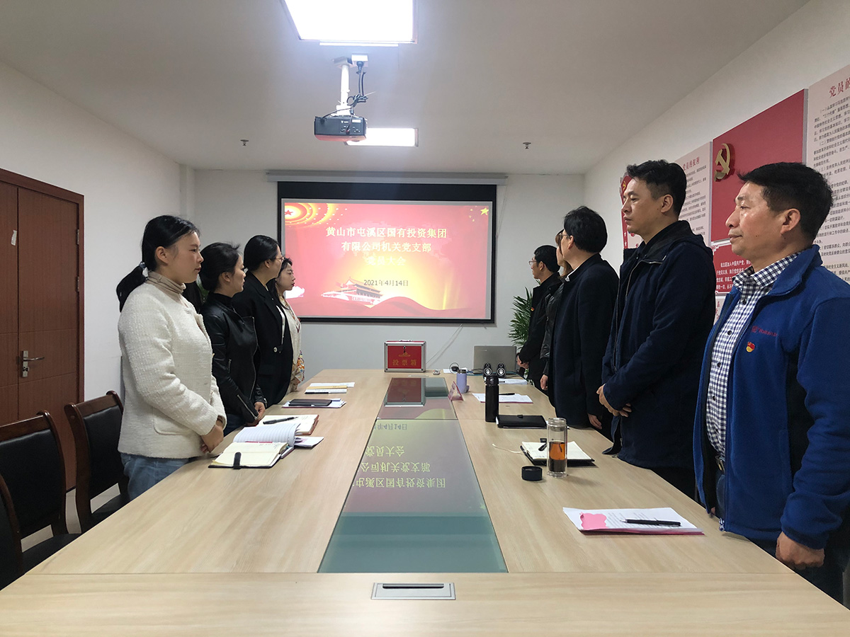 屯溪区国投集团机关党支部成立暨第一届支部委员会选举大会胜利召开