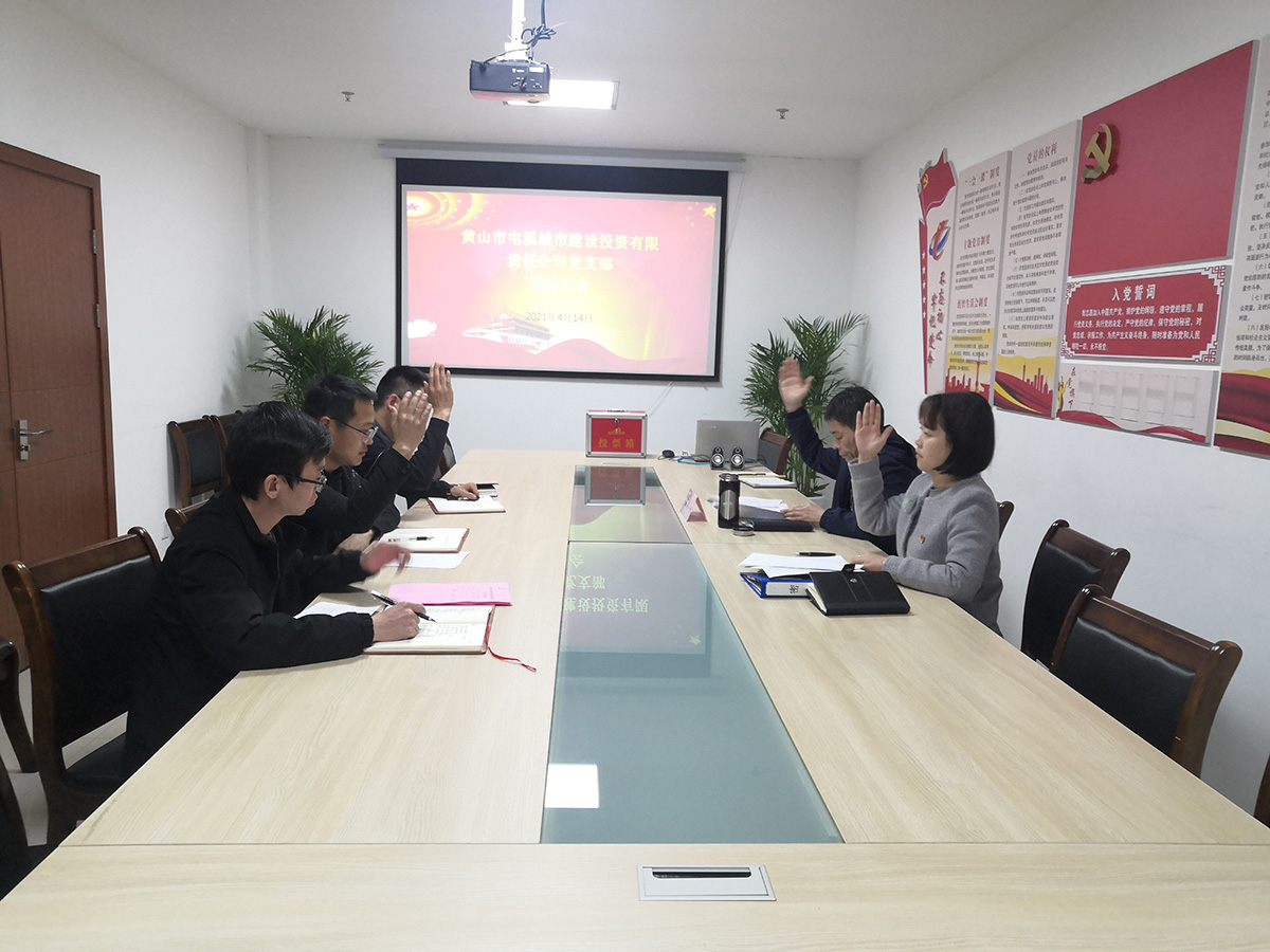 屯溪区国投集团机关党支部成立暨第一届支部委员会选举大会胜利召开