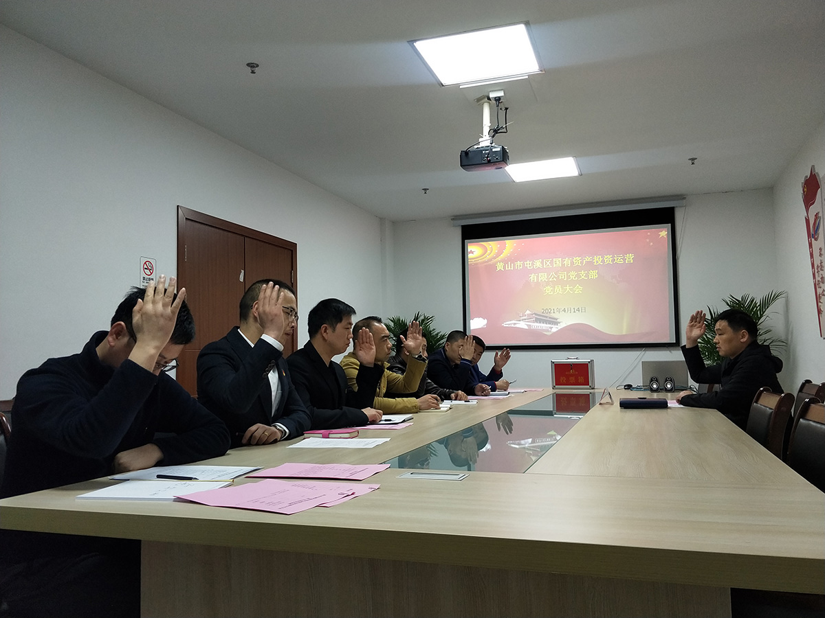 屯溪区国投集团机关党支部成立暨第一届支部委员会选举大会胜利召开