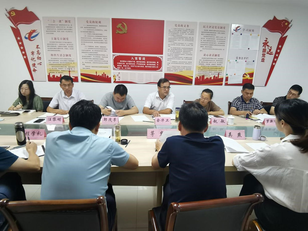 区委党史学习教育第六巡回指导组指导屯溪区国投集团工作见面会