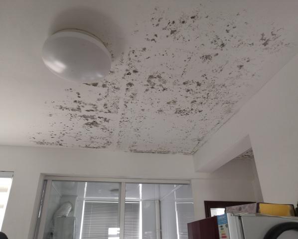 深化党建推动引领,提升租户居住幸福指数