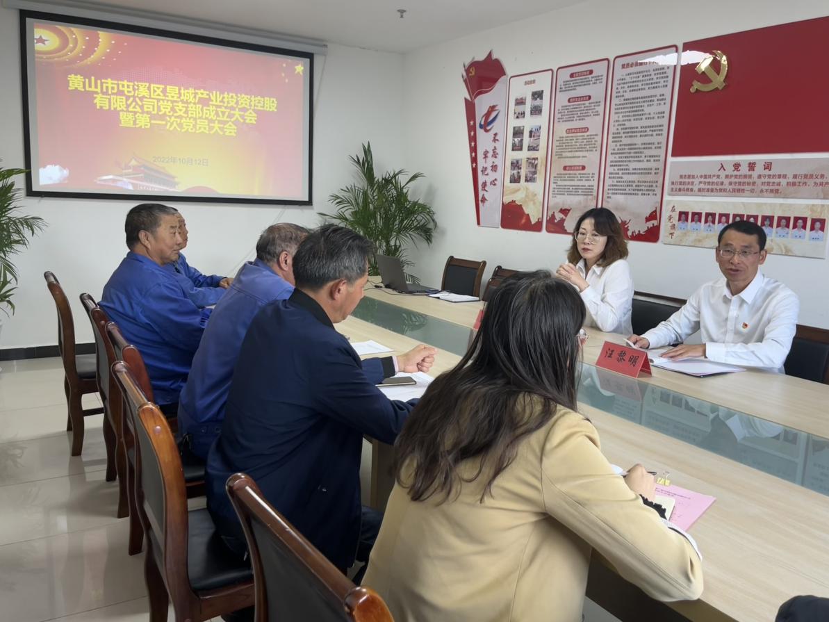 昱城产投党支部第一次党员大会顺利召开