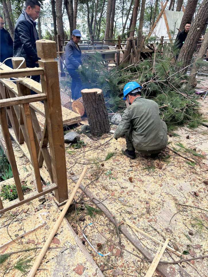 排除隐患,国资公司砍树解民忧