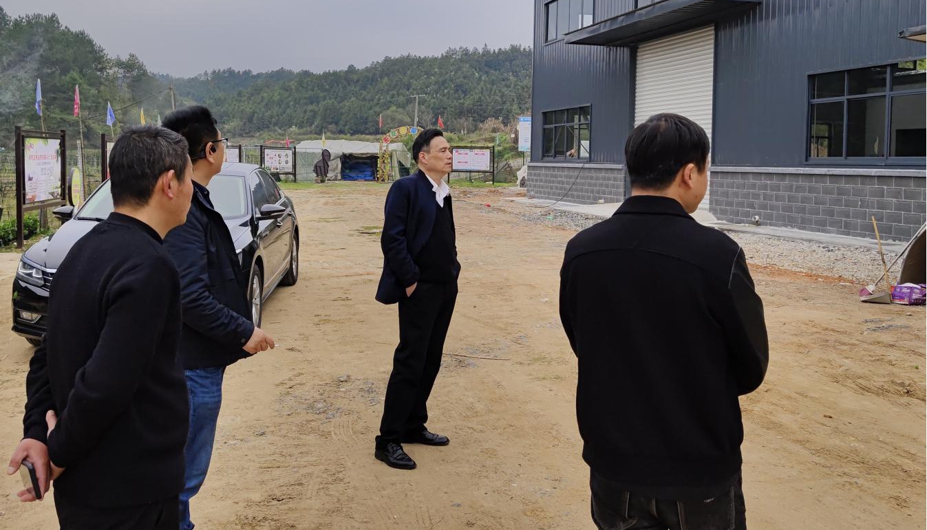 屯溪区国投集团实地考察朱村项目