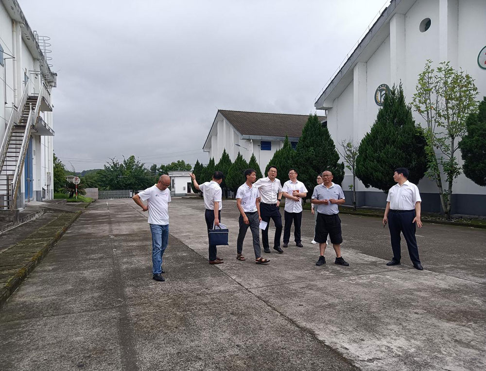 国投集团邵楠总经理带队到粮储公司指导安全生产工作