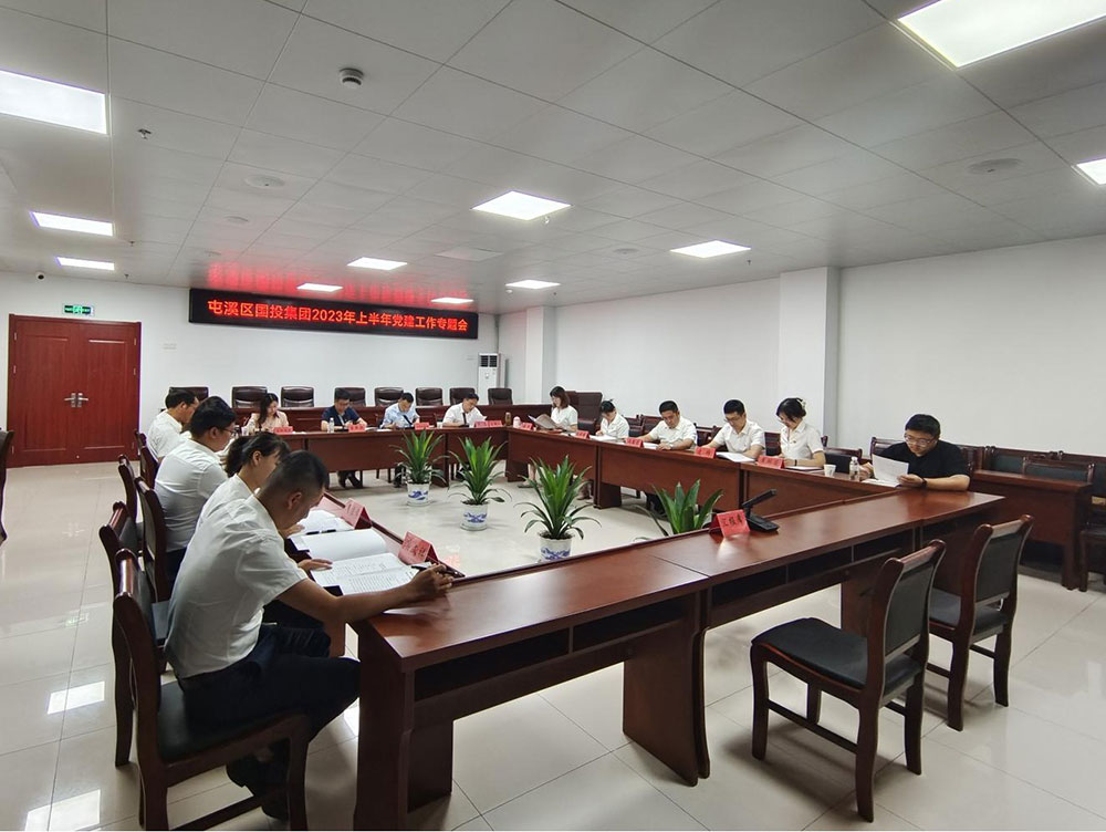 区国投集团召开2023年上半年党建工作专题会
