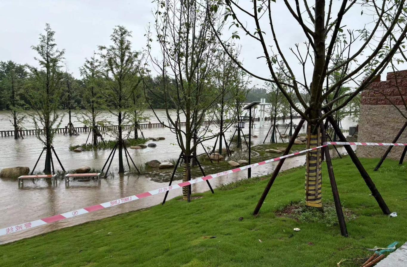 闻汛而动 筑牢防线