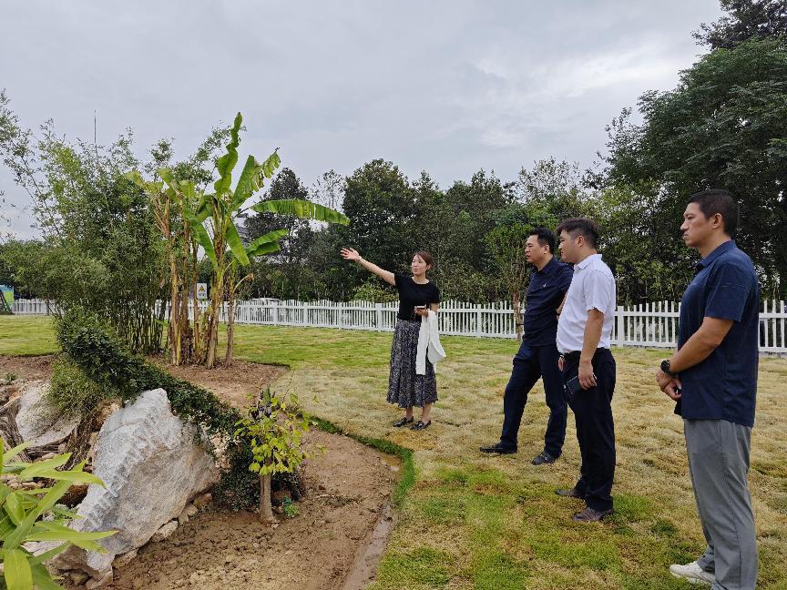 开展安全生产大排查工作