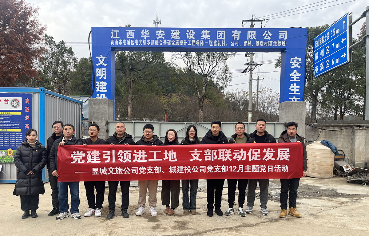 党建引领进工地，支部联动促发展