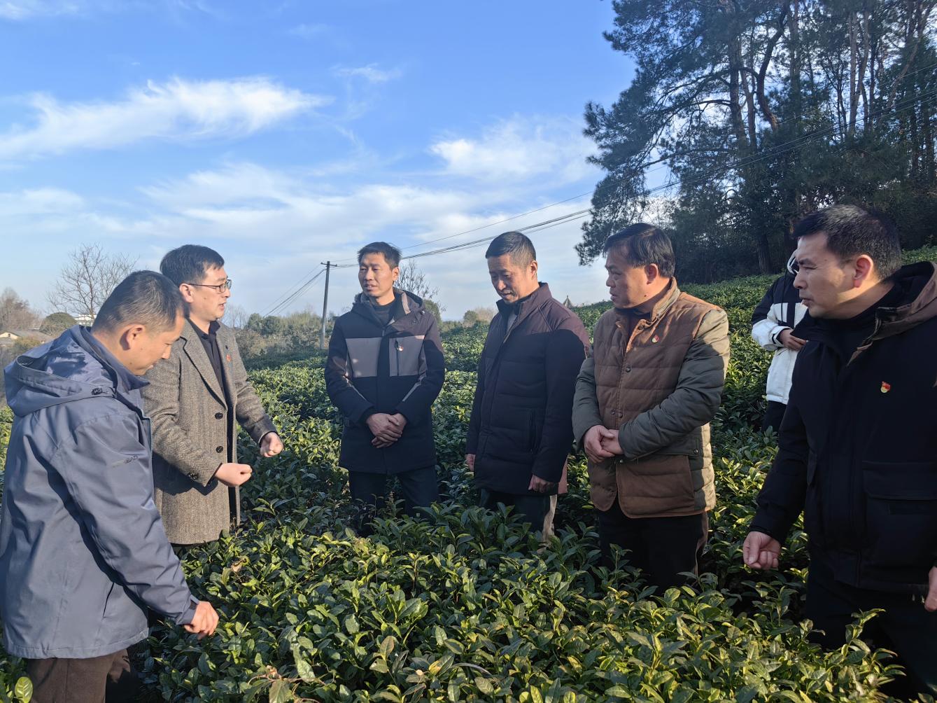 观摩交流促提升 凝心聚力谋发展