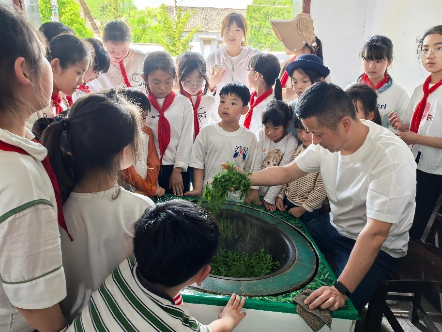 区关工委组织学生到实验茶场开展茶文化主题实践活动
