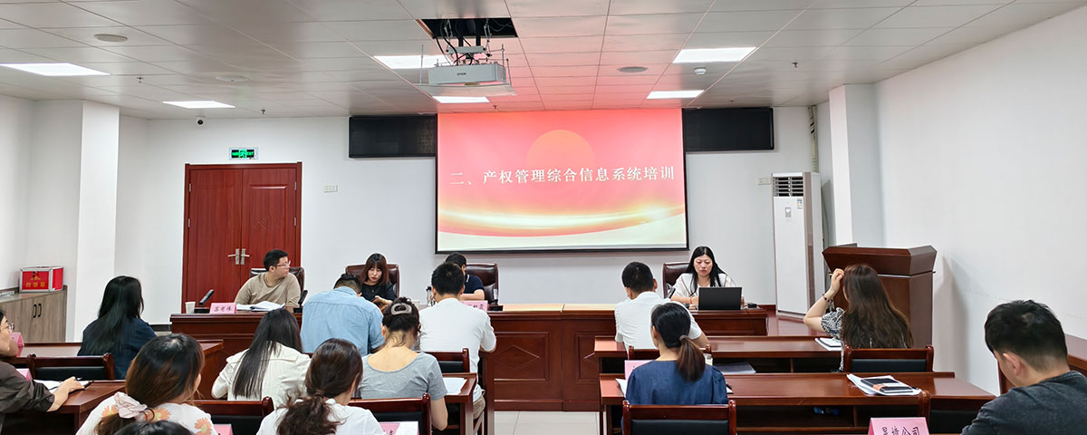 屯溪区国投集团开展国企政策文件学习与产权管理系统专题培训会