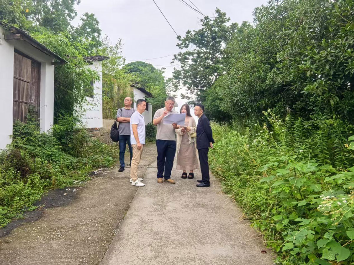 江苏外联采考察团到实验茶场考察，共商茶产业合作新蓝图