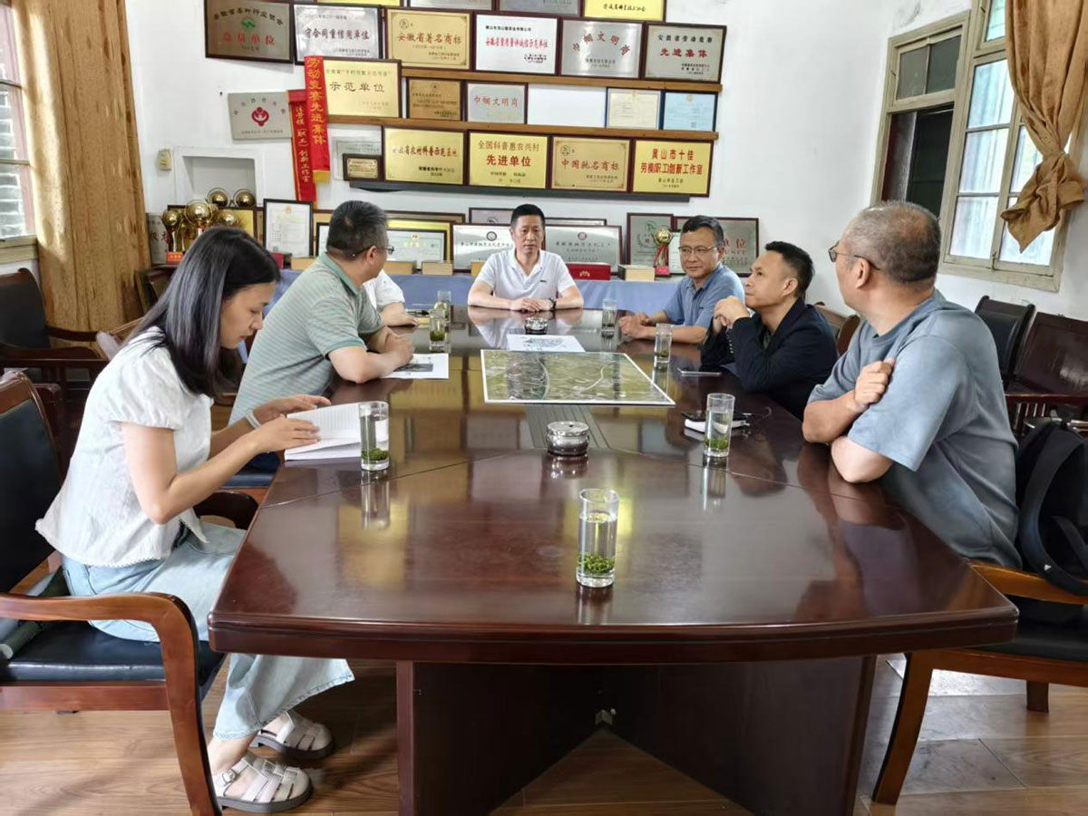 江苏外联采考察团到实验茶场考察，共商茶产业合作新蓝图