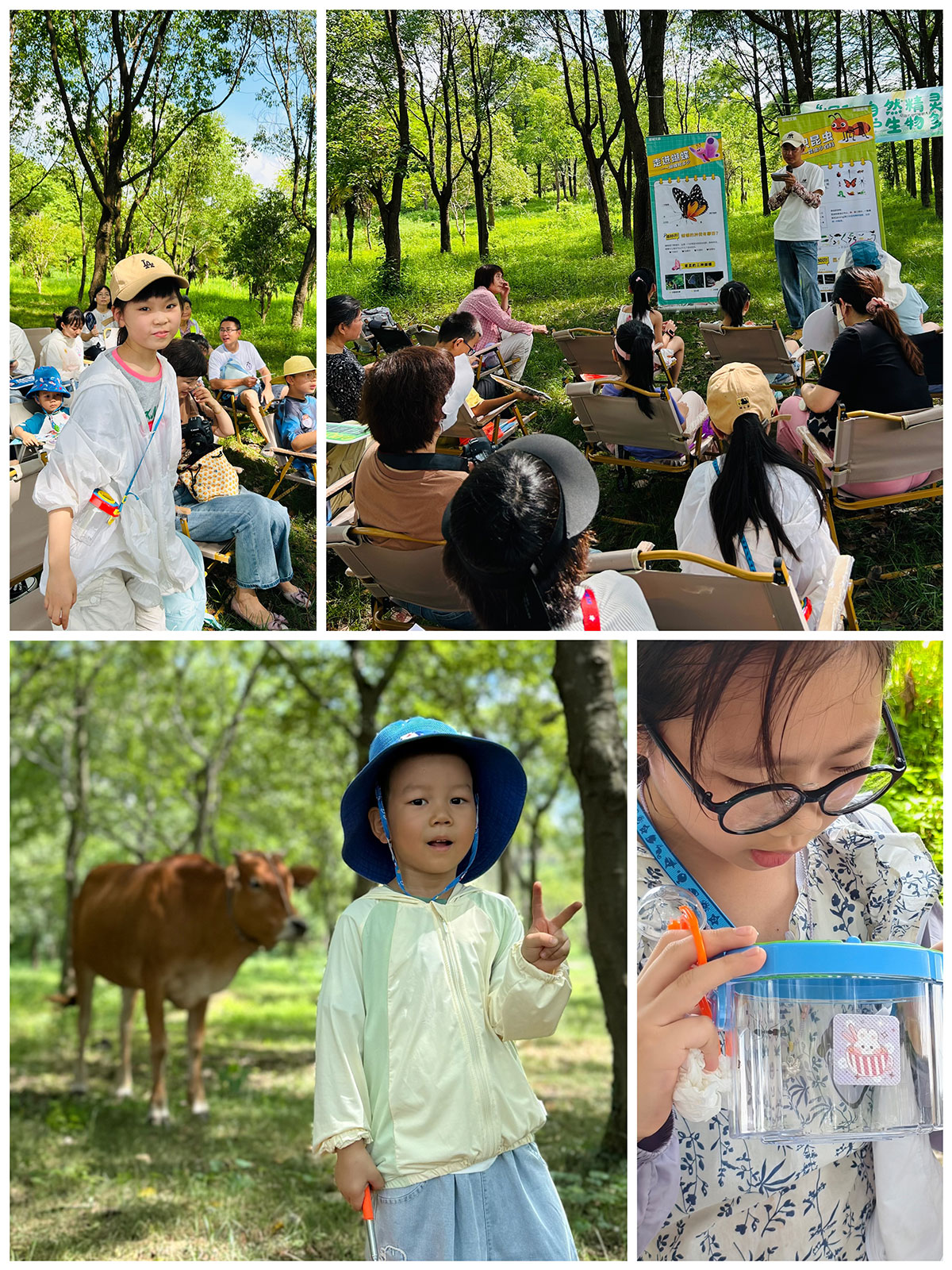 万物共生 和美永续——“探秘生物多样性”亲子主题活动