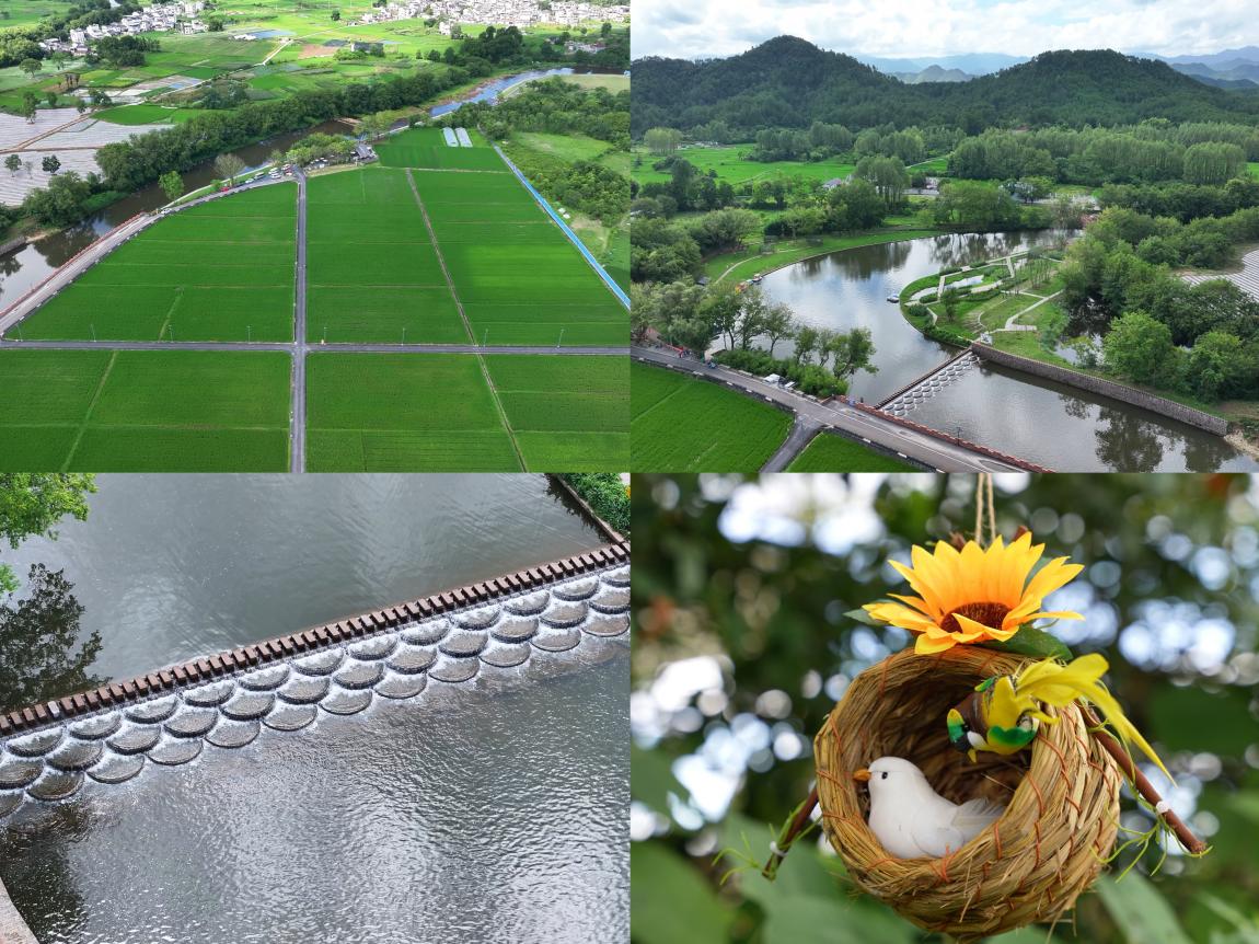 国企赋能乡村振兴 光影点亮文旅新篇