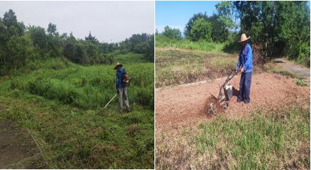 荒地复垦焕新颜  撂荒整改显成效