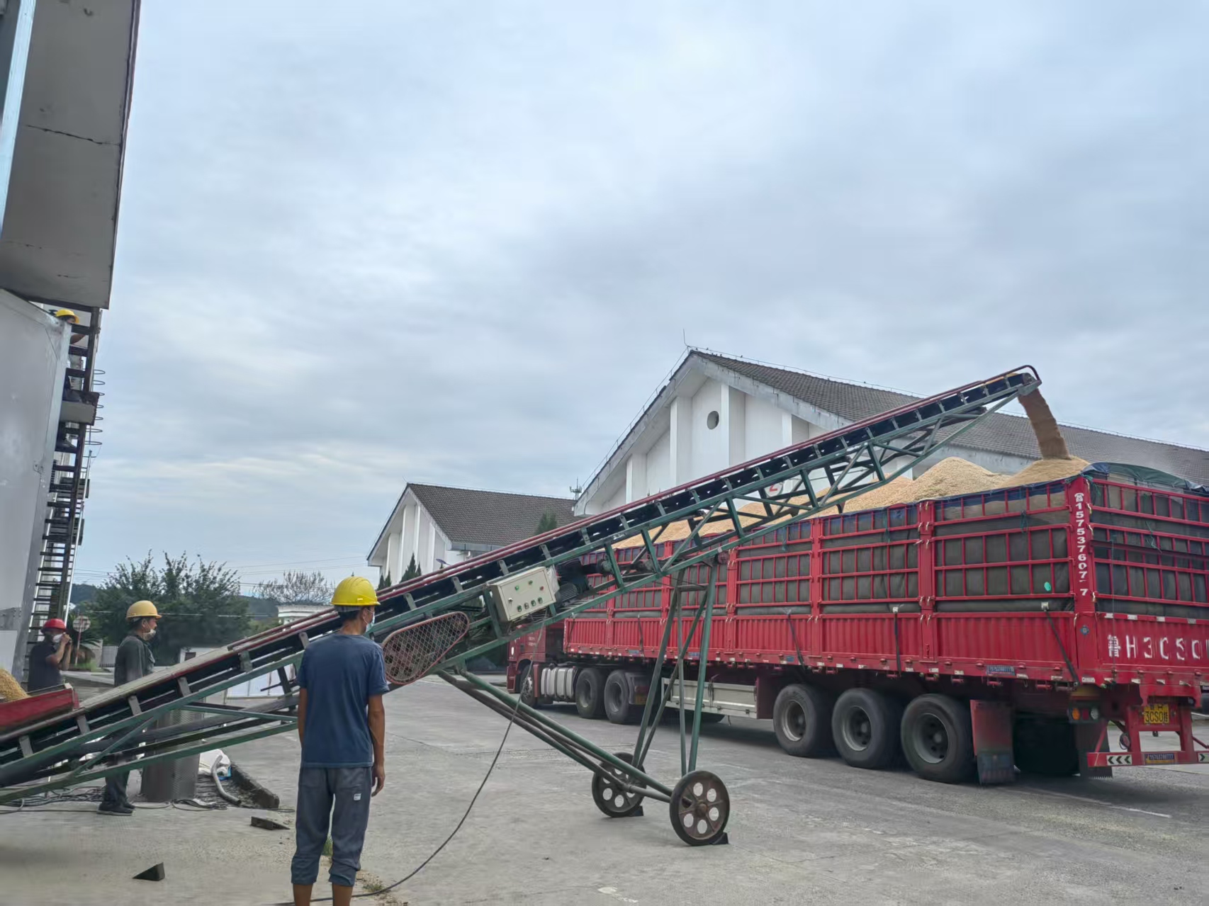 筑牢仓储“安全线” 夯实轮换“基础桩”——区国投集团扎实守好粮食安全关