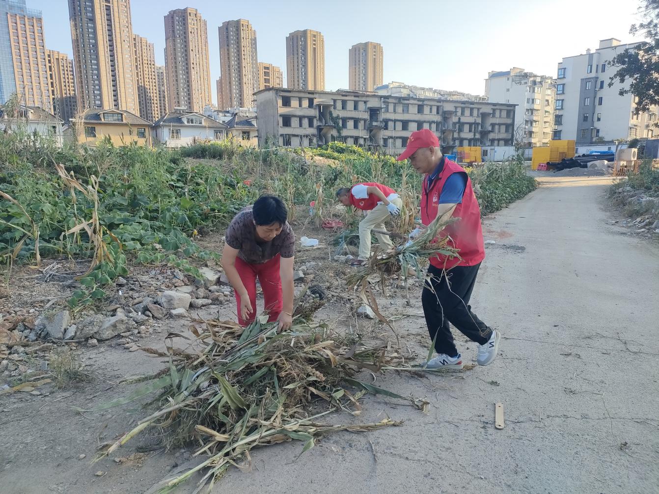 党员进社区：守护绿色家园，彰显国企担当