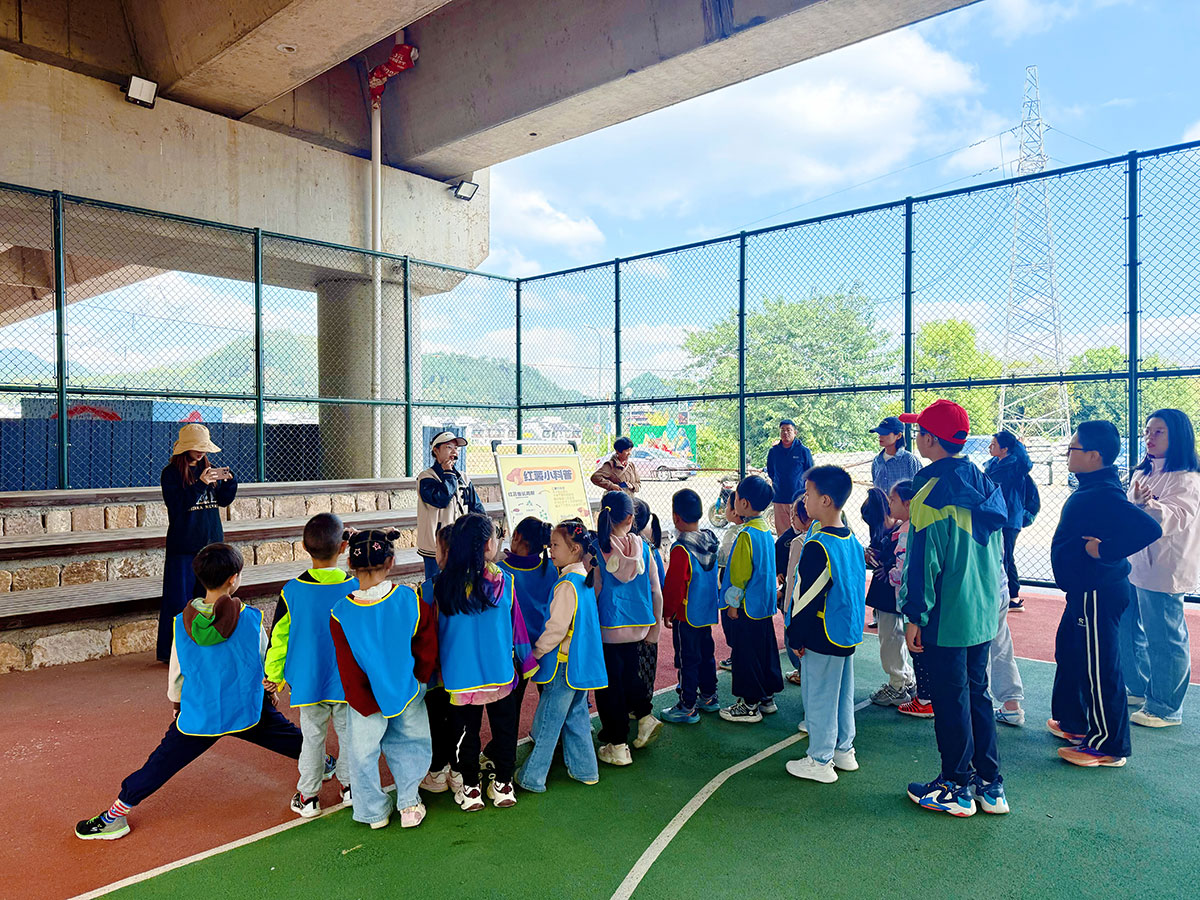 南溪南村：以薯为媒绘新景，活动赋能兴乡村