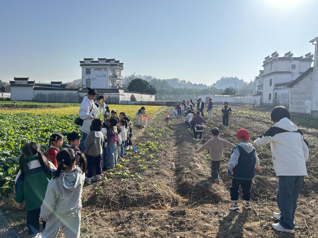 以“童”为桥促振兴     农耕体验乐翻天