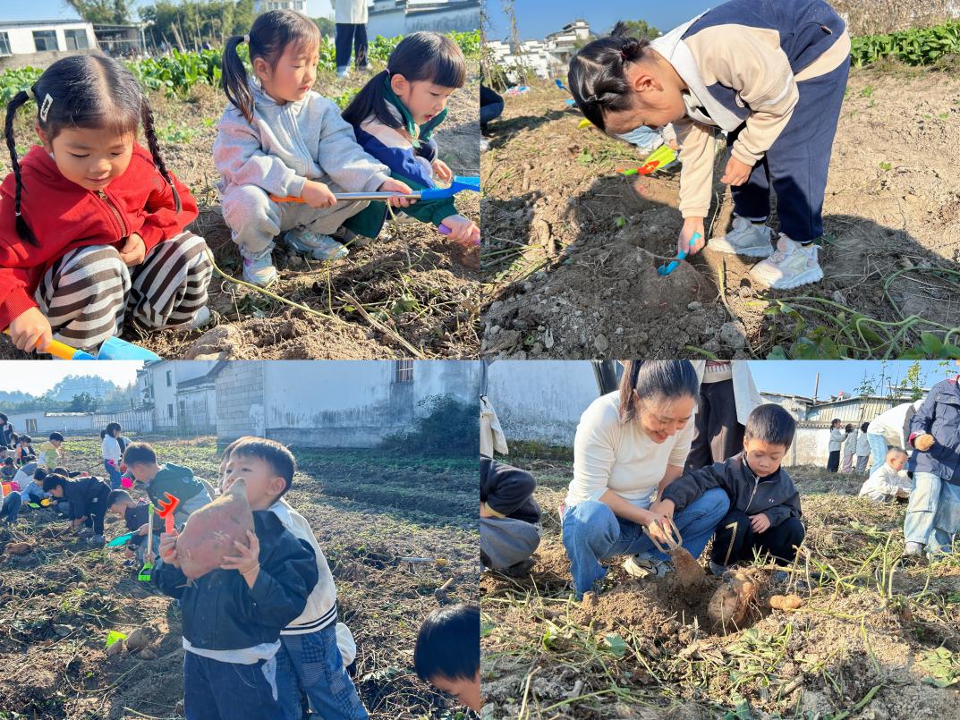 以“童”为桥促振兴     农耕体验乐翻天