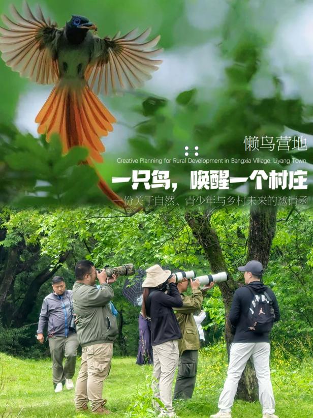 8000万热度炸屏！屯溪“护村小祖宗”联动短剧顶级头部平台带火绶带鸟，短剧+文旅解锁乡村振兴新密码