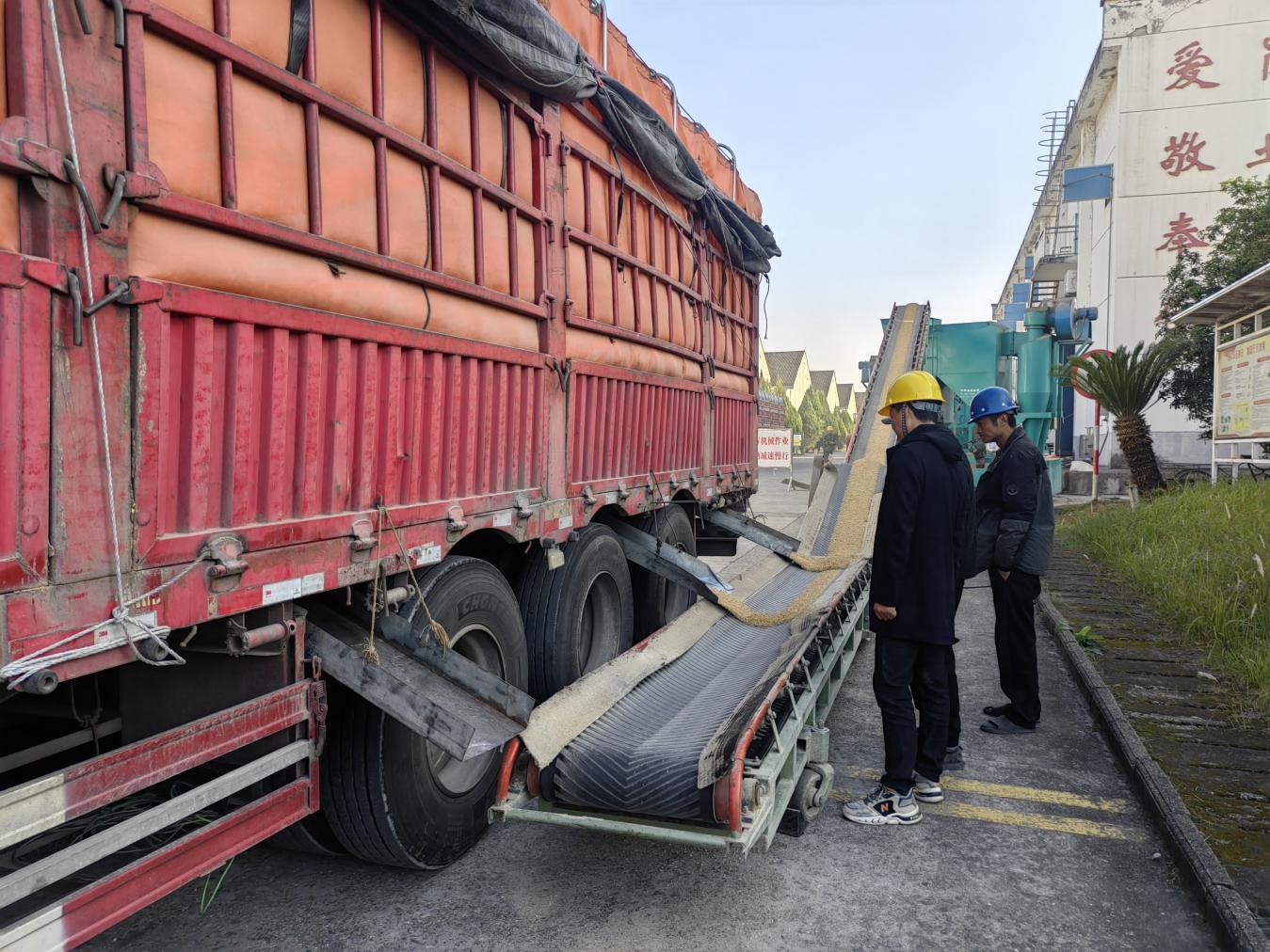 粮储公司2025年度区级储备粮轮换入库工作圆满完成