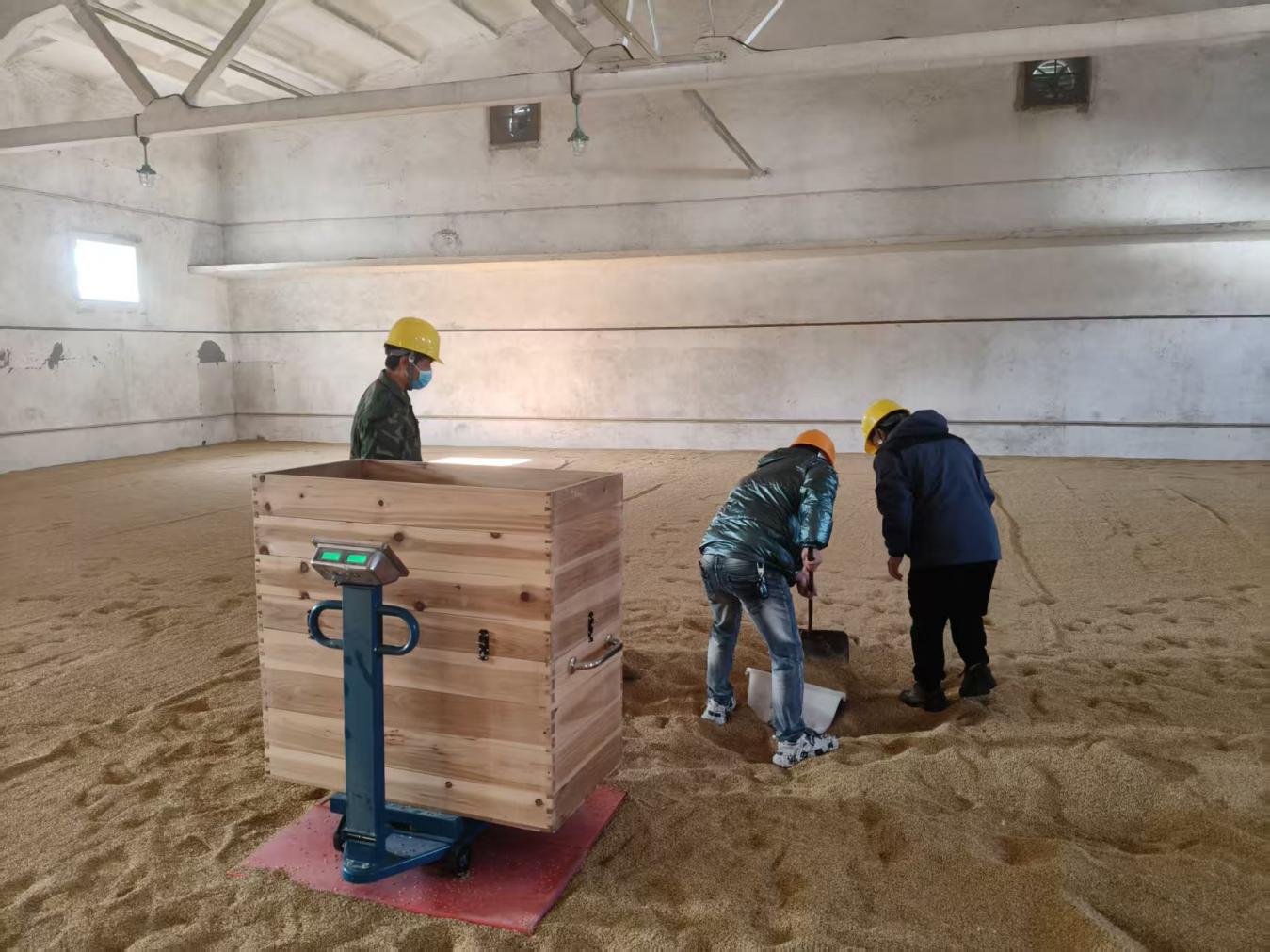 粮储公司2025年度区级储备粮轮换入库工作圆满完成