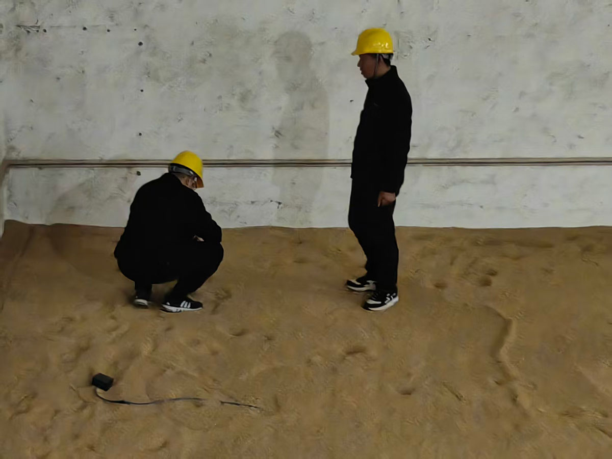 人勤春来早 储粮安为先——屯溪区粮储公司复工复产按下“快进键”