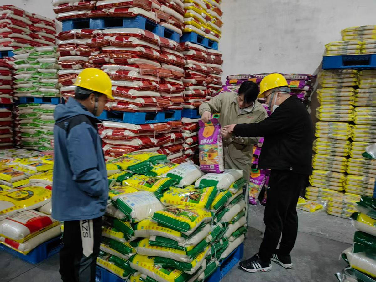 人勤春来早 储粮安为先——屯溪区粮储公司复工复产按下“快进键”