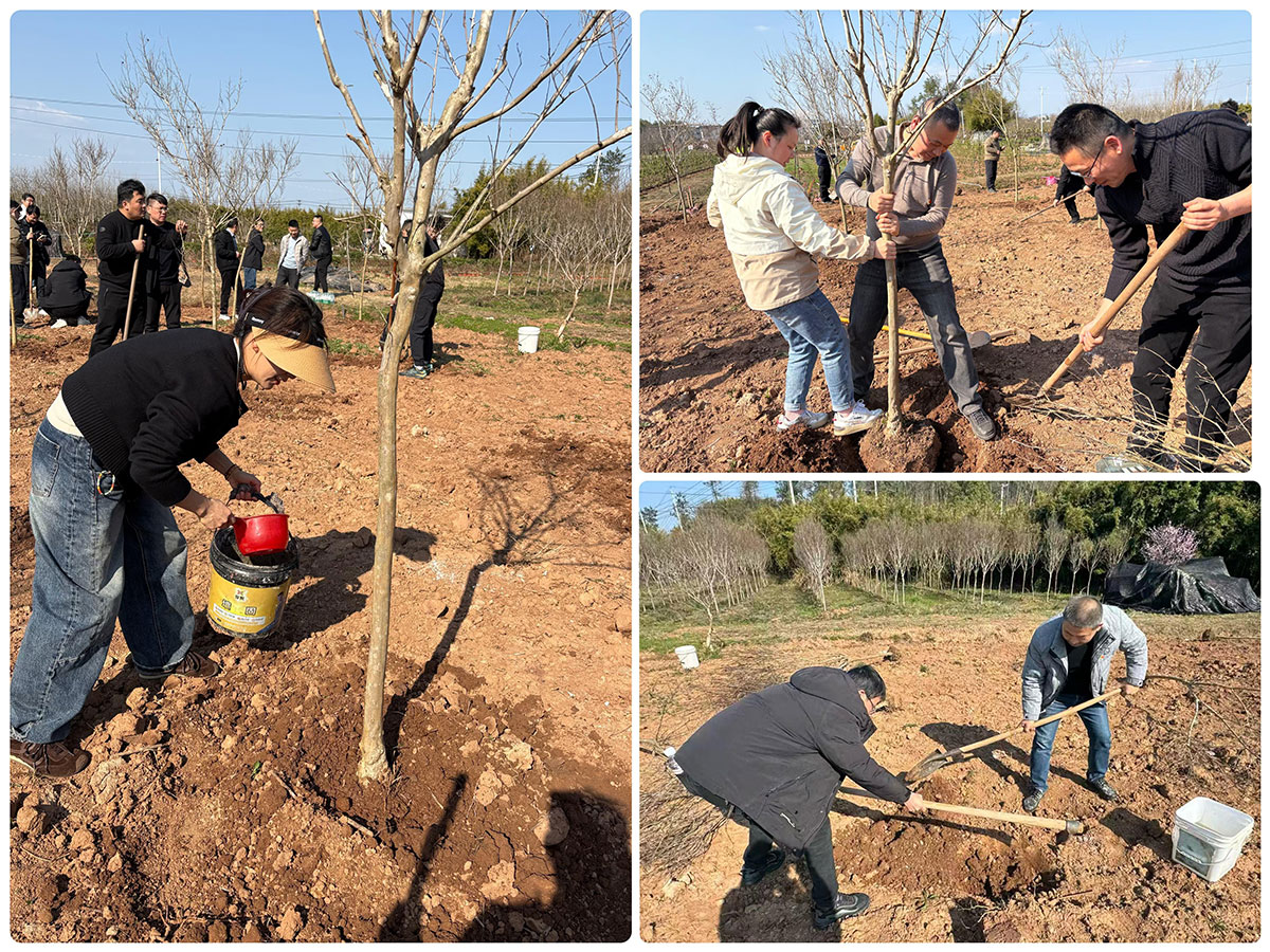 “携手植树联建情”—城建投公司党支部开展3月份主题党日活动