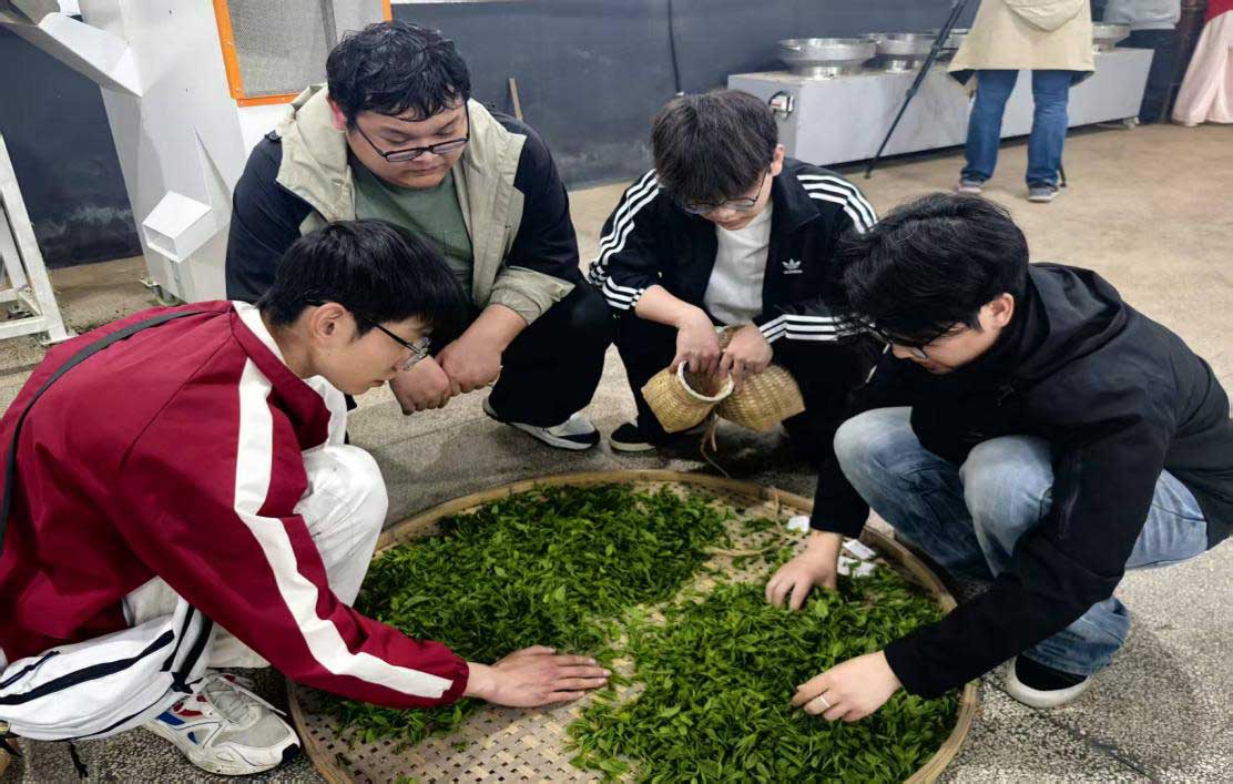 知行共践 产教融合-黄山职业技术学院学生走进实验茶场开展制茶实践活动