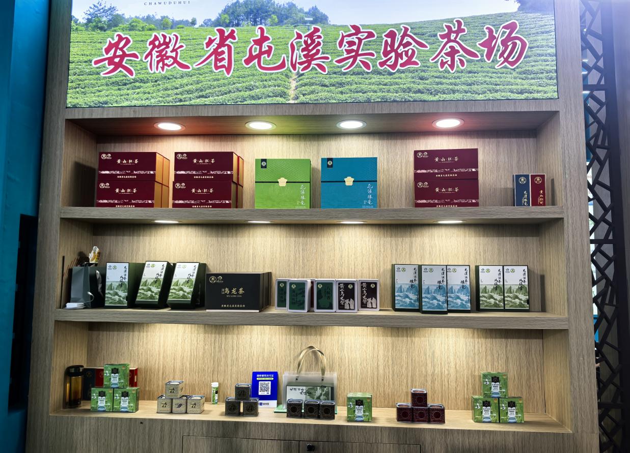 盛会展茗香 徽茶迎客来｜屯溪实验茶场亮相2026第十八届安徽国际茶博会