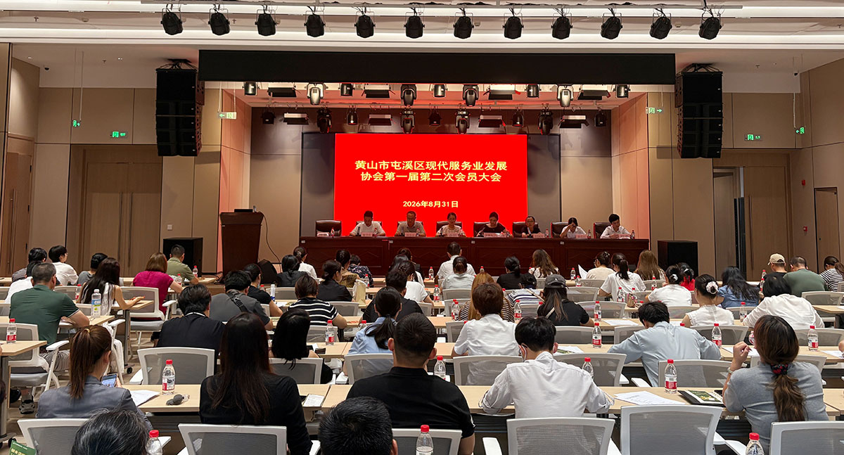 诚信筑基▪保险护航｜区现代服务业发展协会第一届第二次会员大会召开